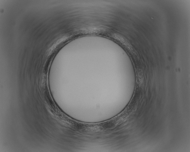 X0000073410583200608251527