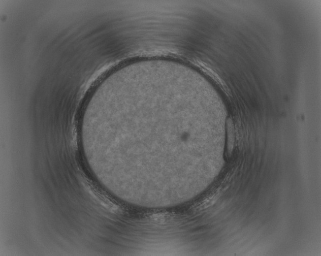 X0000073410584200608251527