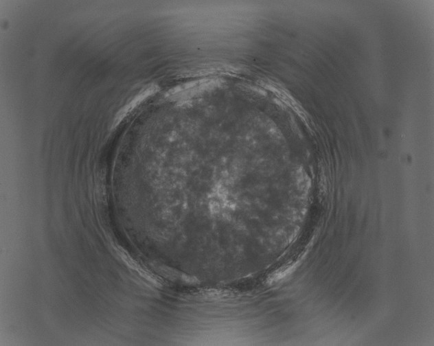 X0000073410585200608251527