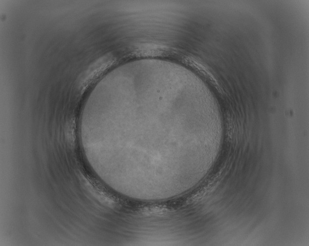 X0000073410586200608251527