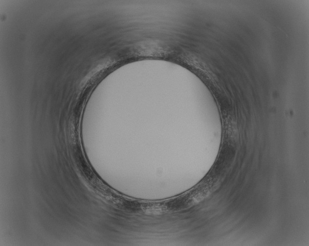 X0000073410587200608251527