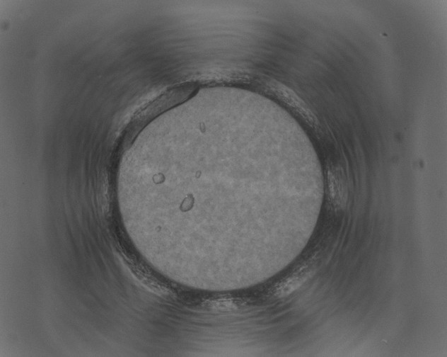 X0000073410588200608251527