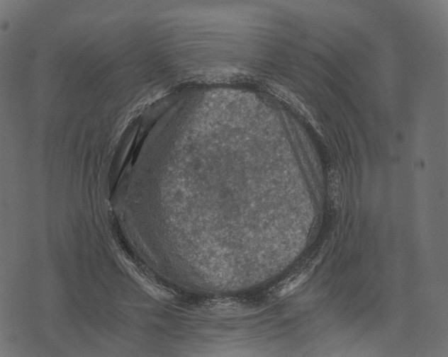 X0000073410589200608251527