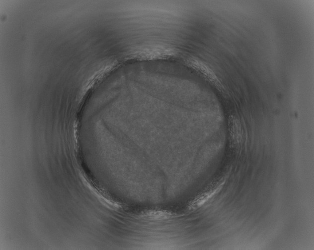 X0000073410590200608251527