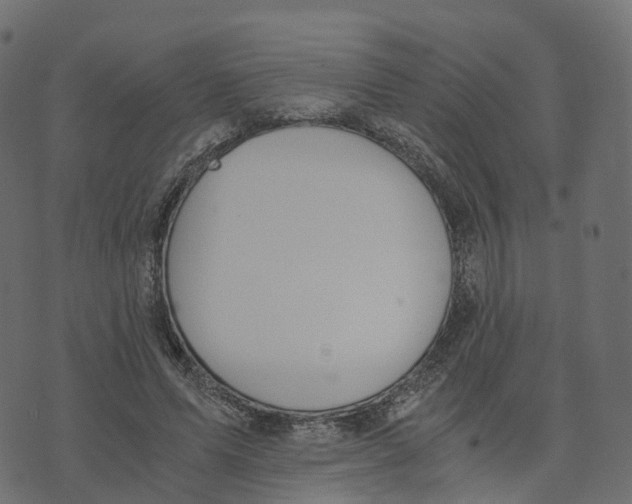 X0000073410591200608251527