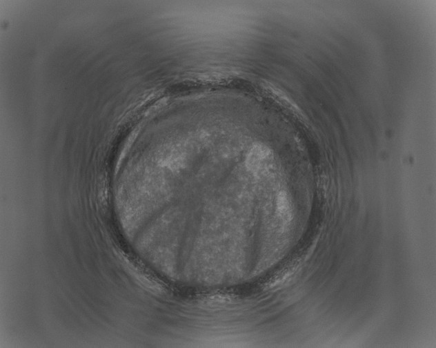 X0000073410593200608251527