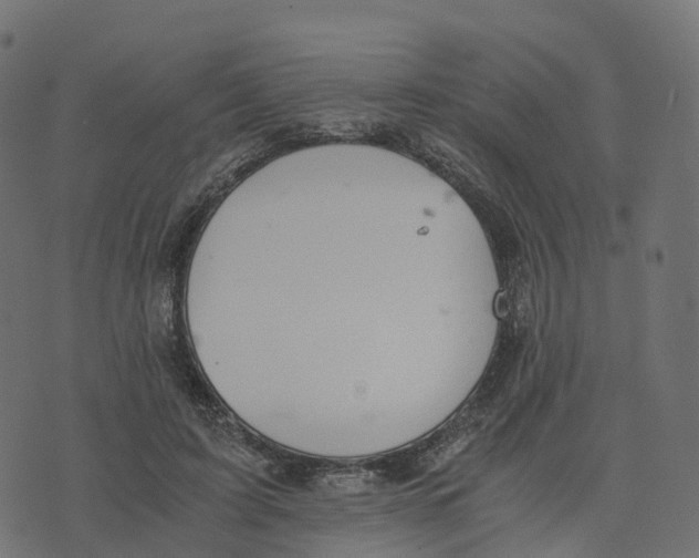 X0000073410595200608251527