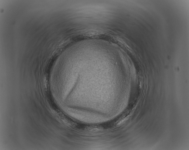 X0000073410597200608251527