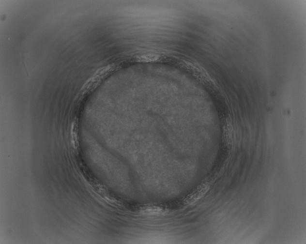 X0000073410598200608251527