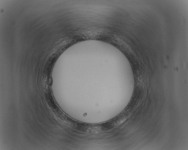 X0000073410599200608251527