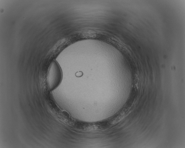 X0000073410600200608251527