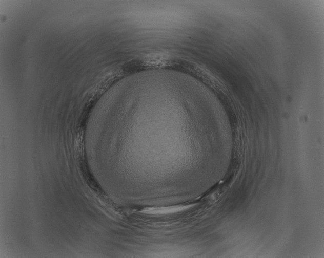 X0000073410601200608251527