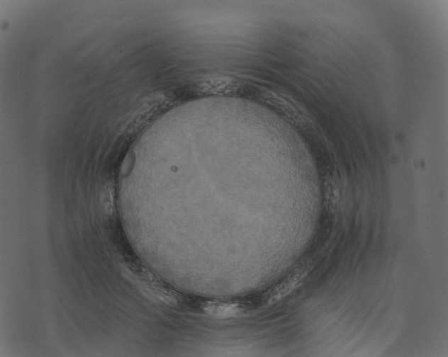 X0000073410602200608251527