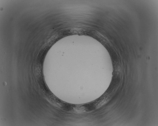 X0000073410603200608251527