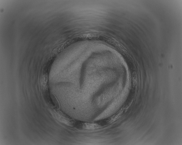 X0000073410605200608251527