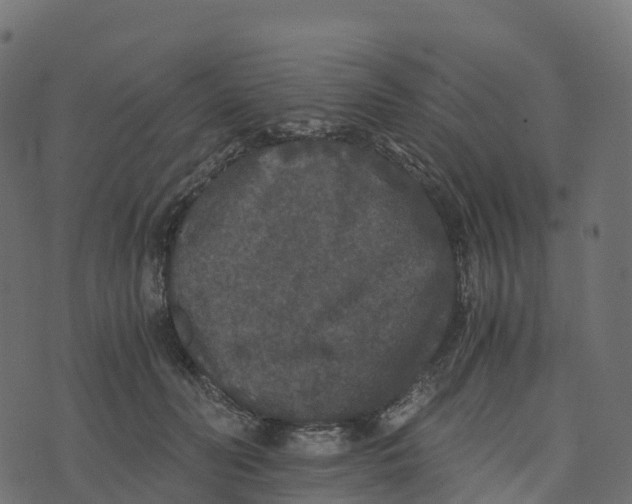 X0000073410606200608251527