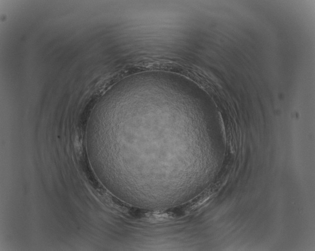 X0000073410607200608251527