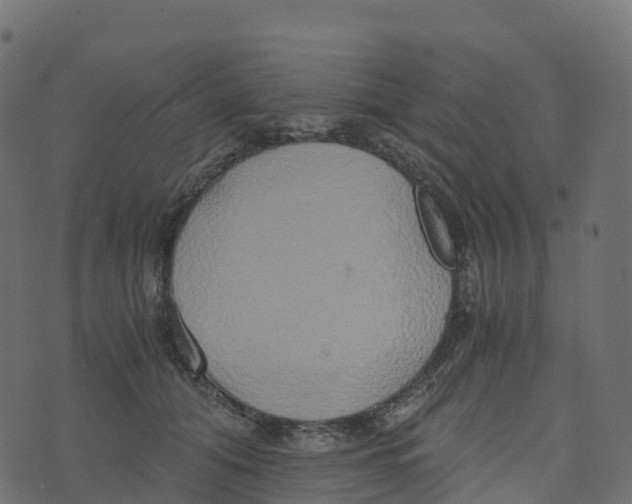 X0000073410608200608251526