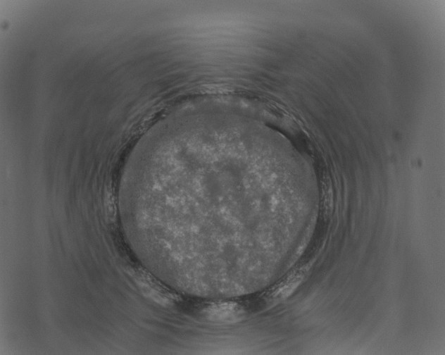 X0000073410609200608251526