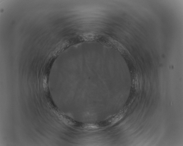 X0000073410610200608251526