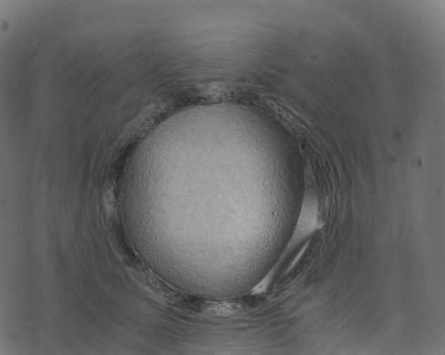 X0000073410611200608251526