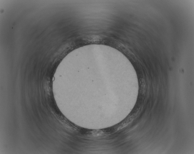 X0000073410612200608251526