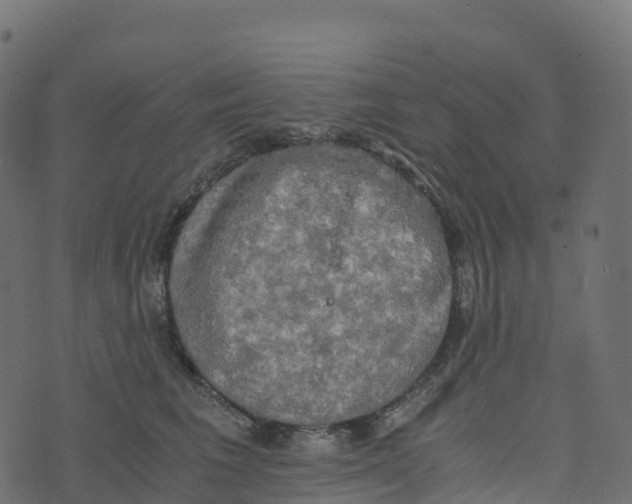 X0000073410613200608251526