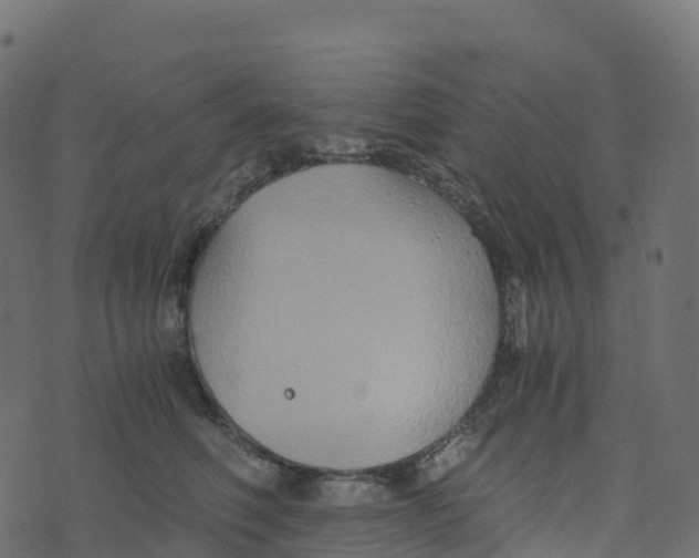 X0000073410614200608251526