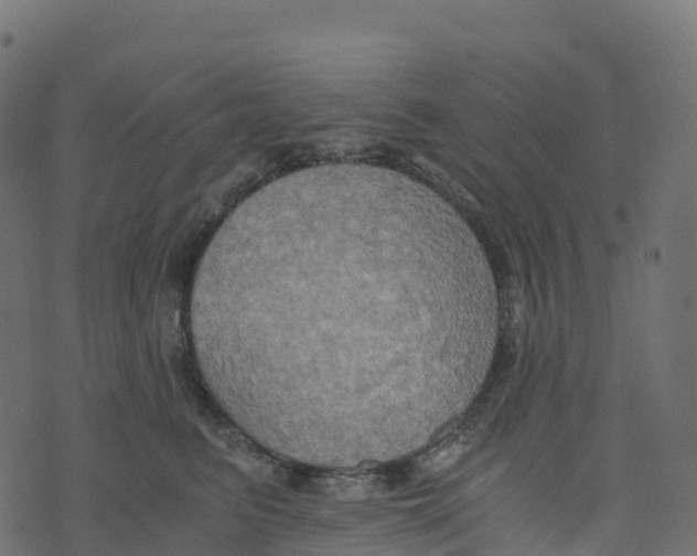 X0000073410615200608251526