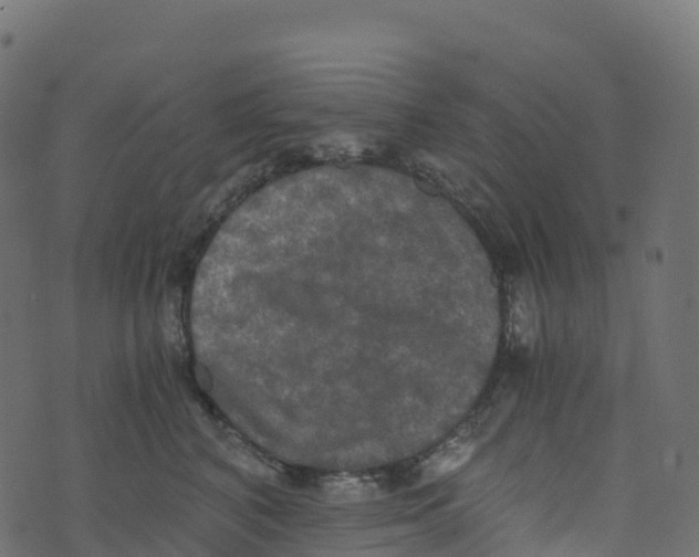 X0000073410616200608251526