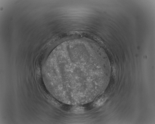 X0000073410617200608251526