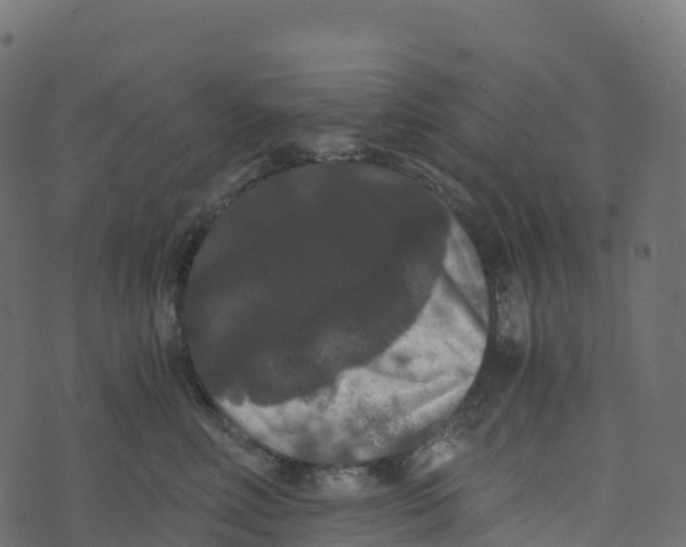 X0000073410618200608251526