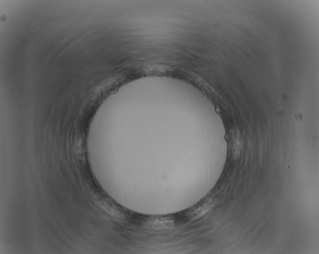 X0000073410619200608251526