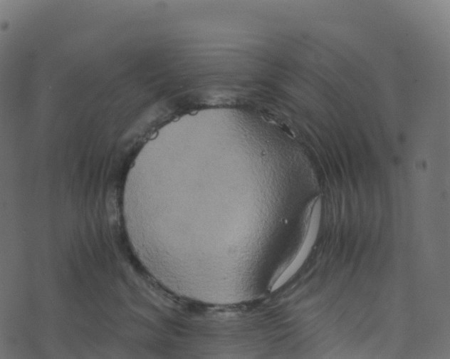 X0000073410620200608251526