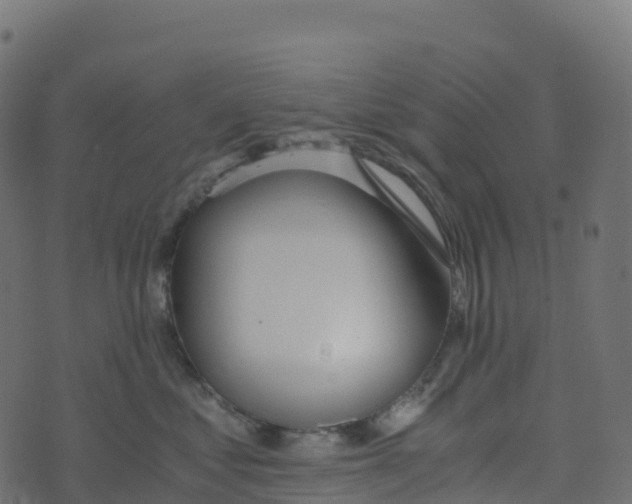 X0000073410621200608251526