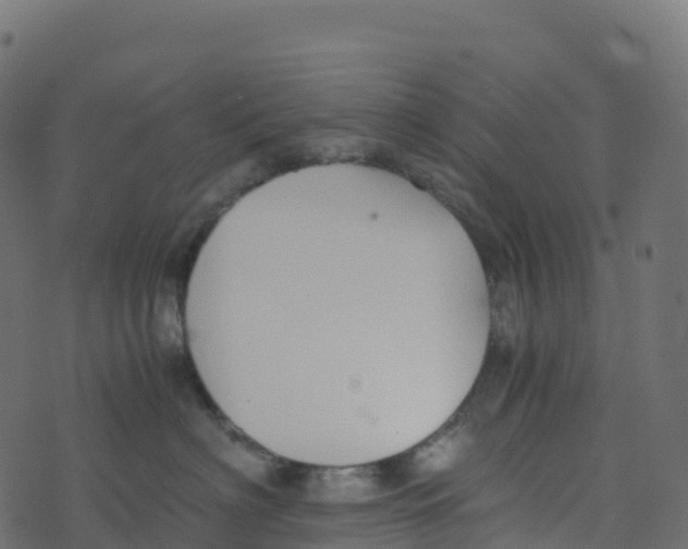 X0000073410622200608251526