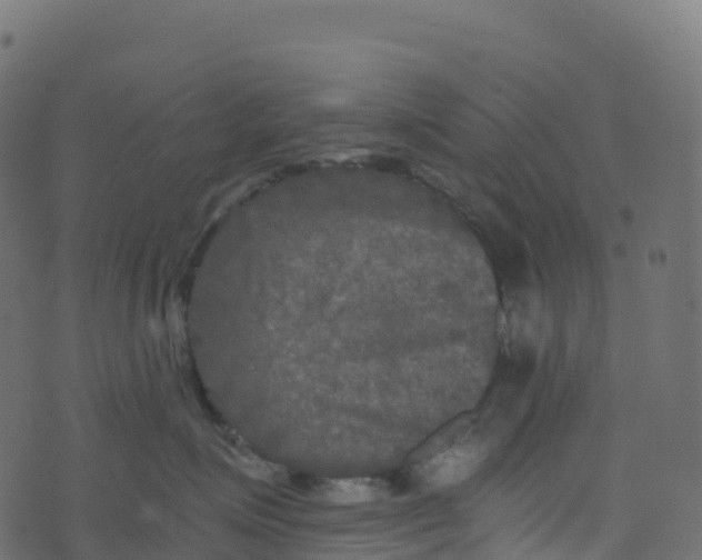 X0000073410623200608251526