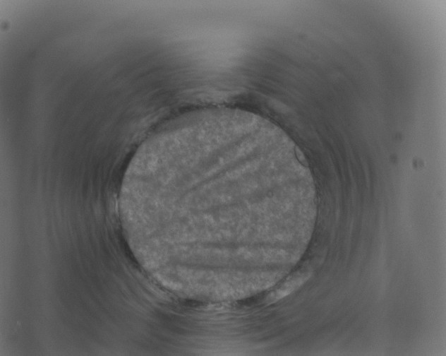 X0000073410624200608251526