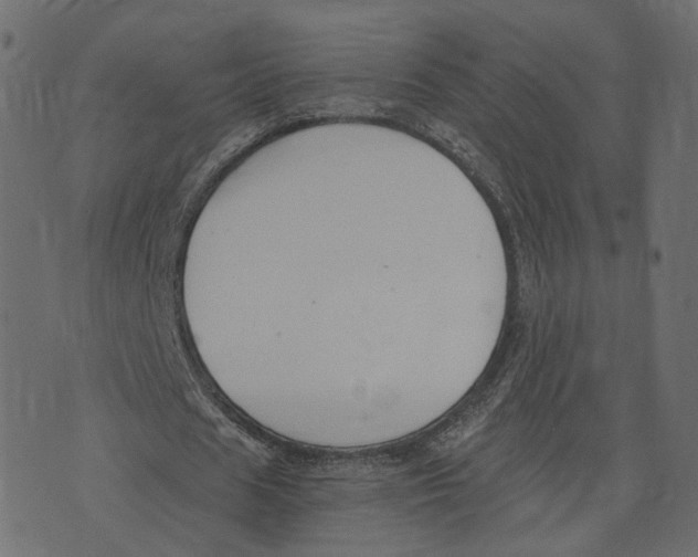 X0000073410625200608251525