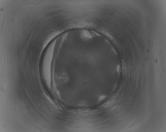 X0000073410626200608251525