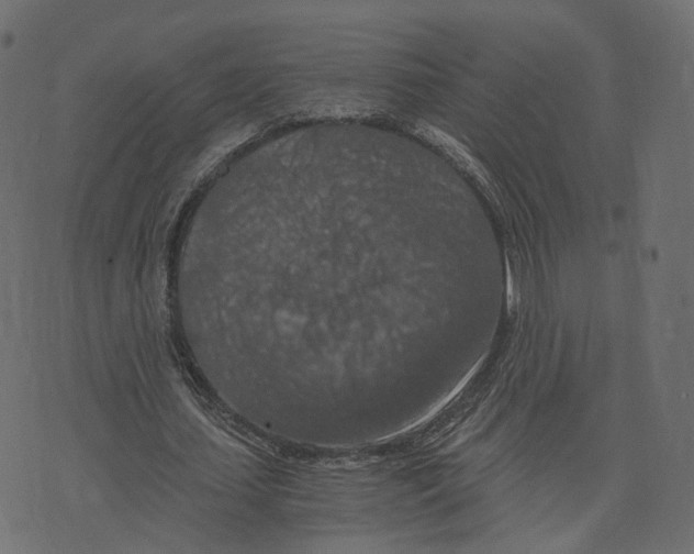 X0000073410627200608251525