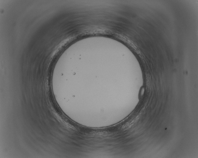 X0000073410629200608251526