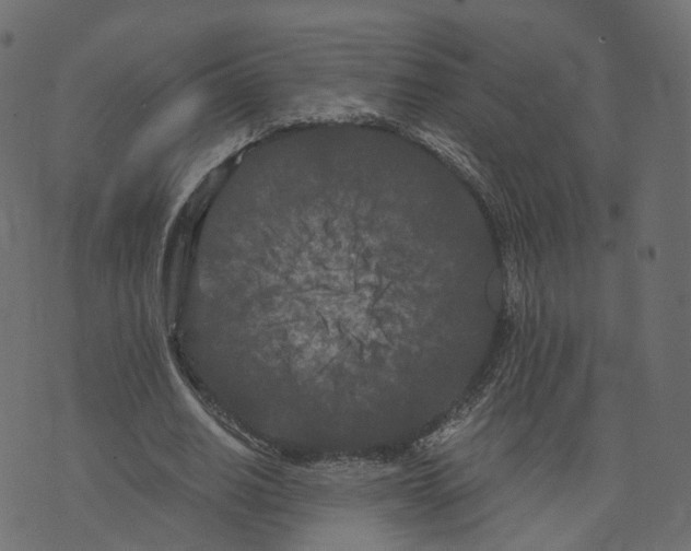 X0000073410630200608251526