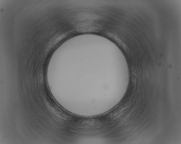 X0000073410631200608251526