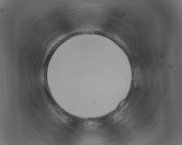 X0000073410632200608251526