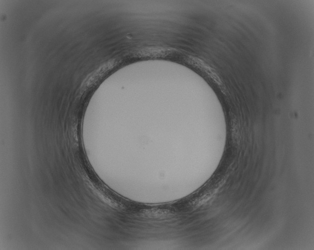 X0000073410633200608251526