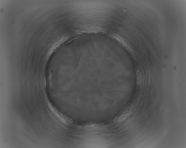 X0000073410634200608251526