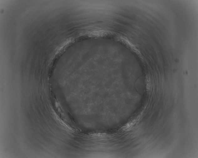 X0000073410637200608251526