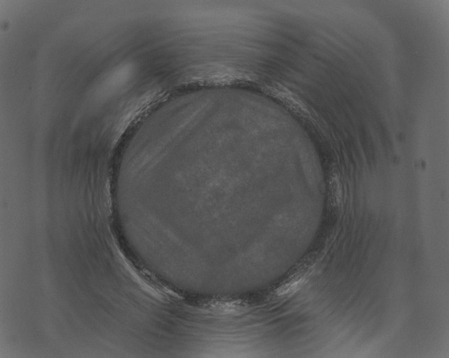 X0000073410638200608251526