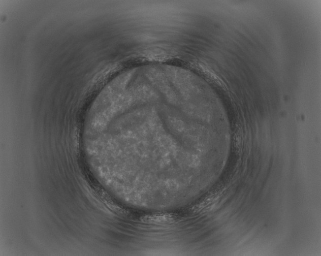 X0000073410639200608251526